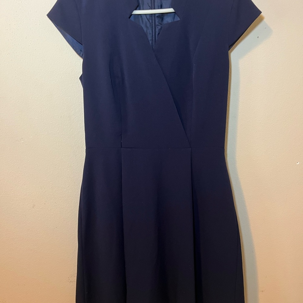 Calvin Klein Dark Blue Mini Dress